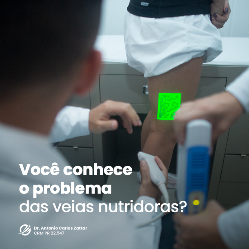 Você conhece as veias nutridoras?